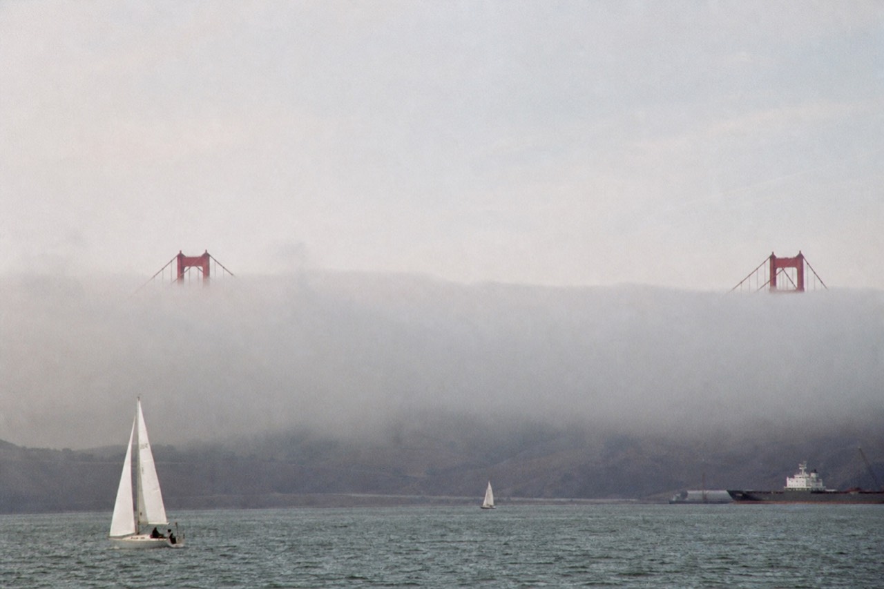 A row of white sightseeing boats moored along a San Francisco pier on a clear morning, the flat bay and one bridge tower faint in the distance behind.